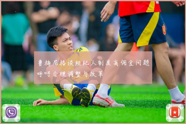 鲁梅尼格谈经纪人制度高佣金问题呼吁合理调整与改革